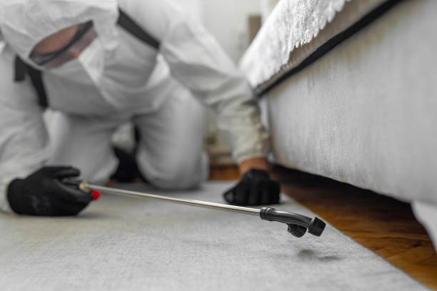 Professional Ant Control technician working in Devine, TX