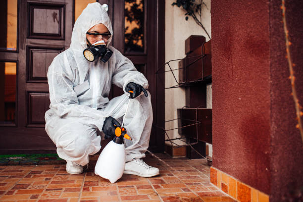 Reliable Mosquito Control contractor in Devine, TX by Show Me Pest Control